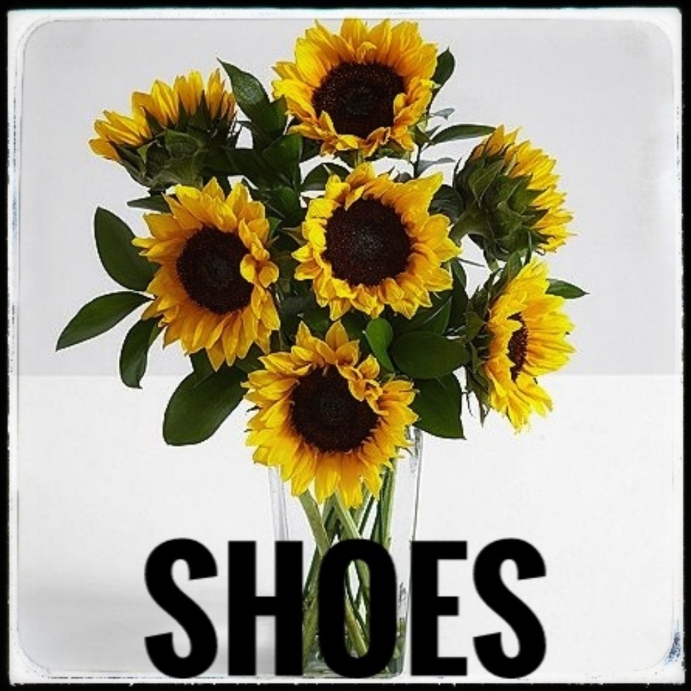 Check out the shoes in my closet!